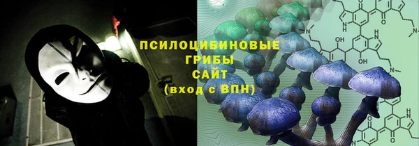 Альфа ПВП Кукмор