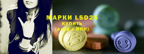 ПСИЛОЦИБИНОВЫЕ ГРИБЫ Кулебаки