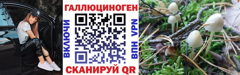 KRAKEN зеркало  Среднеколымск  Галлюциногенные грибы мухоморы 